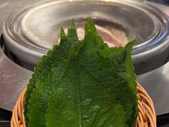 -伍丁·烤牛肋(和平东桥店)