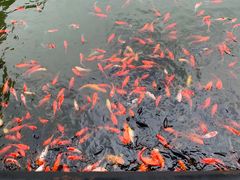 -成都动物园