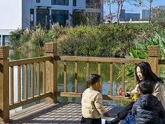 -藏龙百瀑风景区