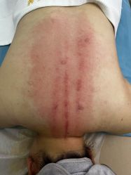 -金美秀养生瘦身