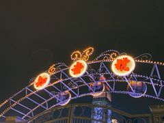 -武汉知音号