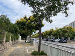 -龙鳞路第一家牛肉汤