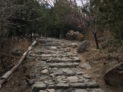 -阳台山自然风景区