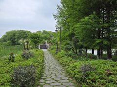 -苏州太湖国家湿地公园
