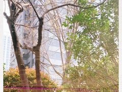 -新城控股新总部大楼