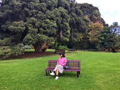 -墨尔本皇家植物园