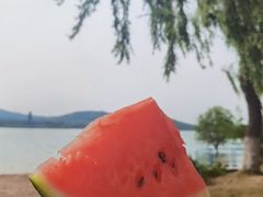 -济南国际园博园