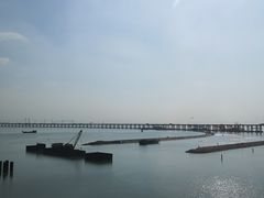 -深圳湾公园(南山区)