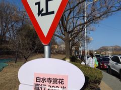 -白水寺森林公园