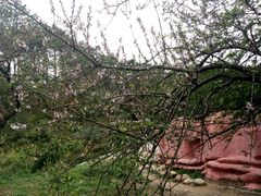 -牛鱼嘴原始生态风景区