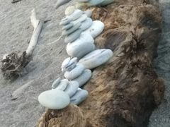 -七星潭蓝天广场