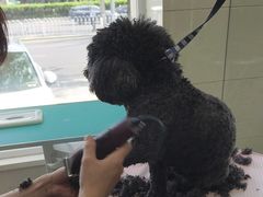 -北京观赏动物医院·24小时大型综合·猫专科·异宠专科