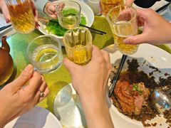 -大鸭梨烤鸭(望京店)