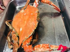 -渔民船说·北塘海鲜·天津菜·海肠捞饭(北塘古镇店)