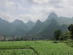 -长寿村