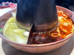 -东镇老火锅(长春路首店)