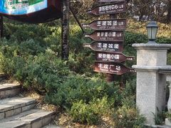 -北京张裕爱斐堡酒庄