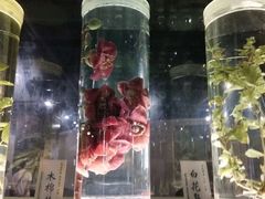 -广东中医药博物馆