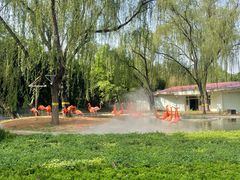 -石家庄市动物园