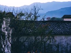 -塔川景区