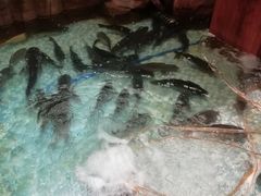 -东北大院·东北菜(三台子店)