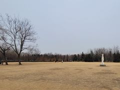 -泰丰公园