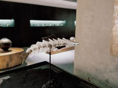 -元白和创园展厅