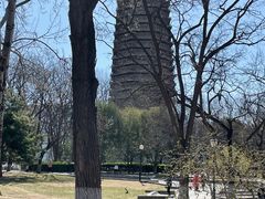 -玲珑塔公园