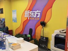 -新东方素质(金源校区)