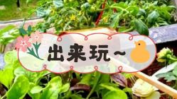 -可可天空农场(中大店)