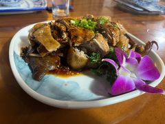-小小饭店·休闲农庄·安吉松树林里的农家菜