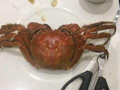 -新光酒家·河豚·海鲜·蟹料理(浦东店)