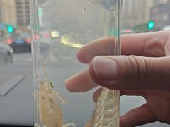 -鼓歌海鲜舫·手抓海鲜(大学城店)