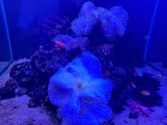 -邯郸海洋世界