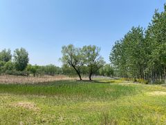 -东郊湿地公园