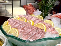 鲜活东星斑-金龙·打边炉(南京西路店)