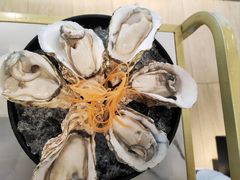 -蚝大仙横琴生蚝火锅(日月贝店)