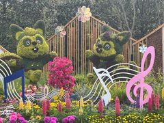 -上海共青森林公园