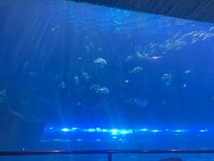 -华夏文旅西安度假区