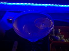 -好久不见网红乐队酒吧(鼓浪屿海底世界店)