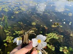 -丽江泸沽湖景区