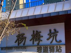 -杨梅坑