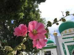 -银川南关清真寺