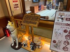 -大江户·温泉洗浴(浑南店)
