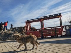 -北京西山国家森林公园