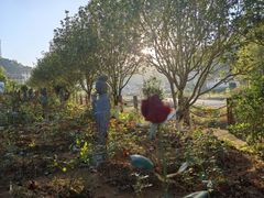 -韶关经律论国际酒店温泉