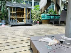 -上合花园花园烧烤(贵阳店)