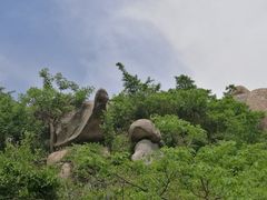 -洋山深水港