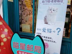 -猫咪博物馆(顶澳仔猫街店)