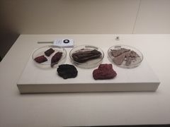 -南越王博物院(王宫展区)